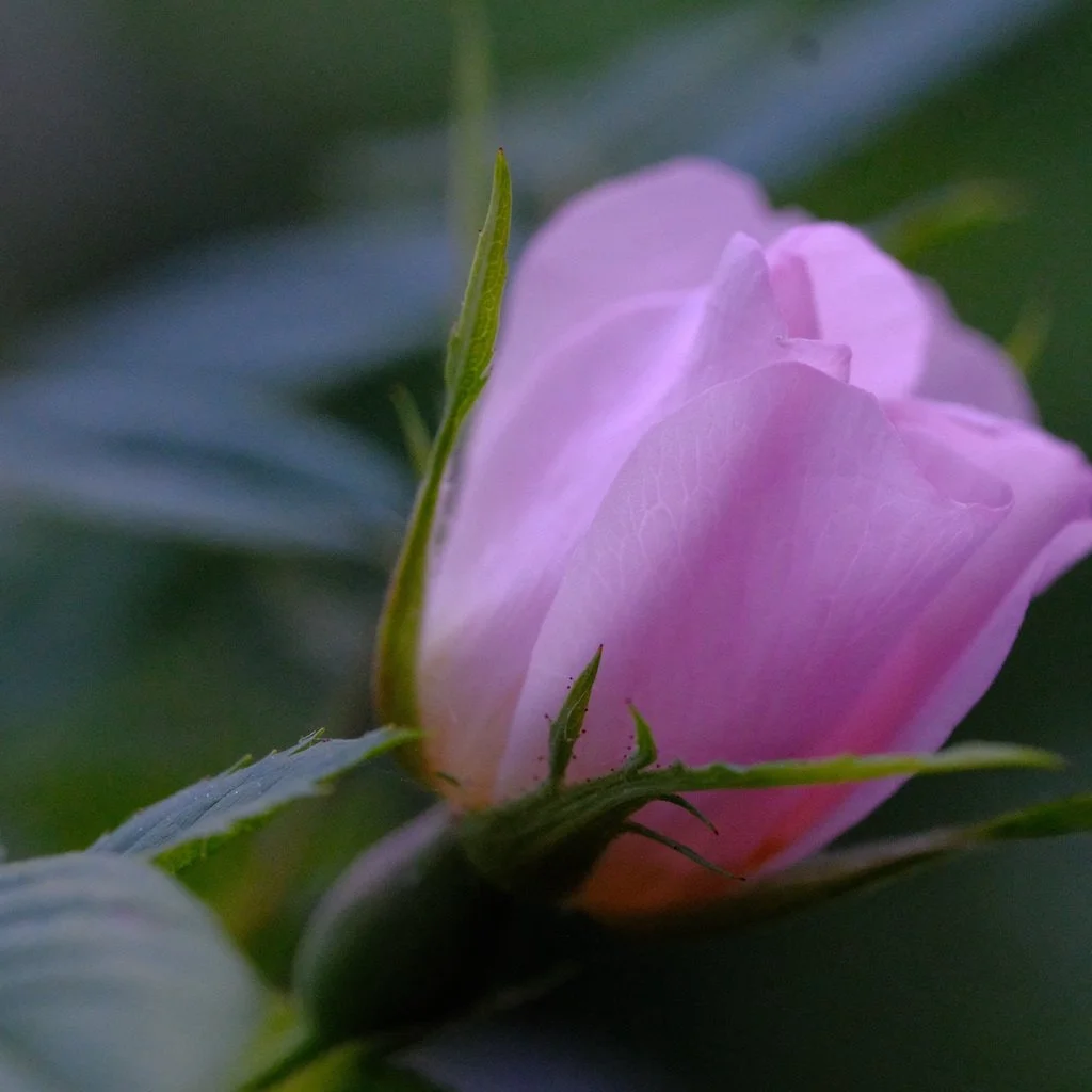 DSCF3845.JPG