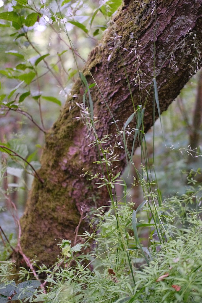DSCF3932.JPG