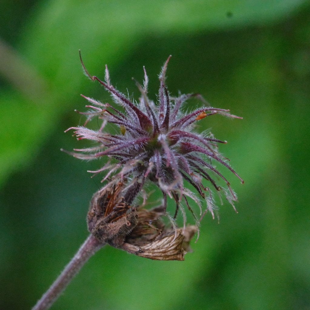 DSCF3970.JPG