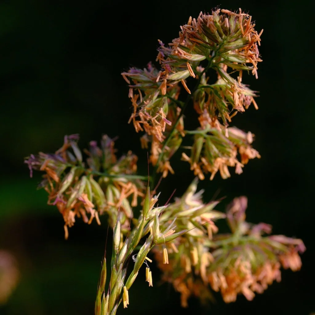 DSCF3837.JPG