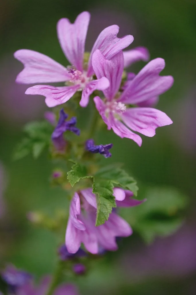 DSCF4048.JPG