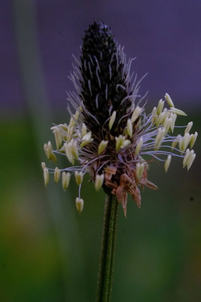 DSCF3863.JPG