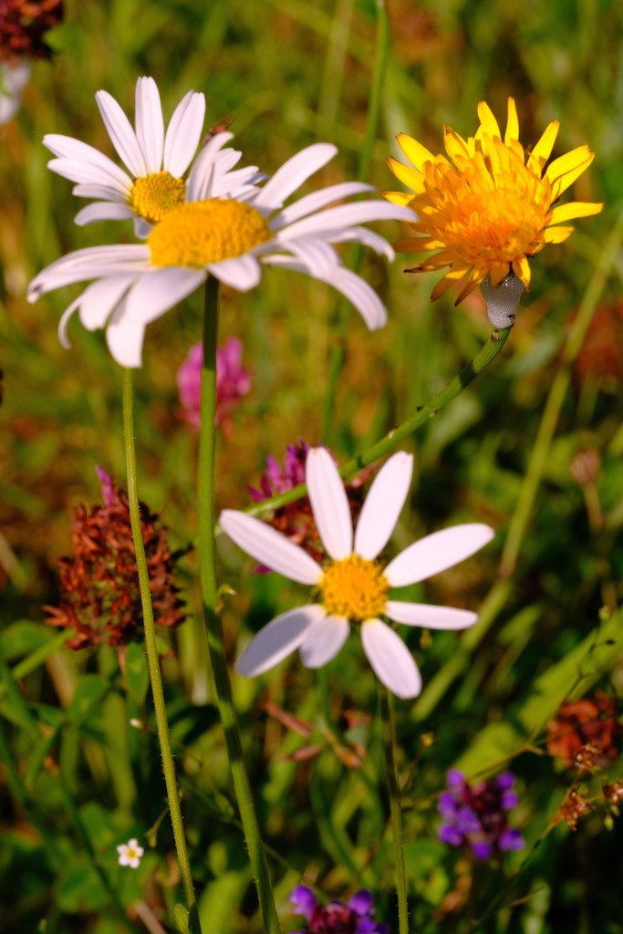DSCF3869.JPG