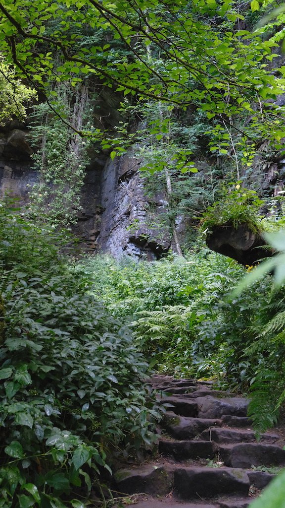 DSCF3951.JPG