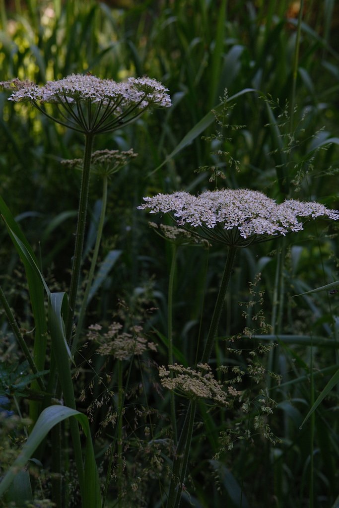 DSCF3892.JPG