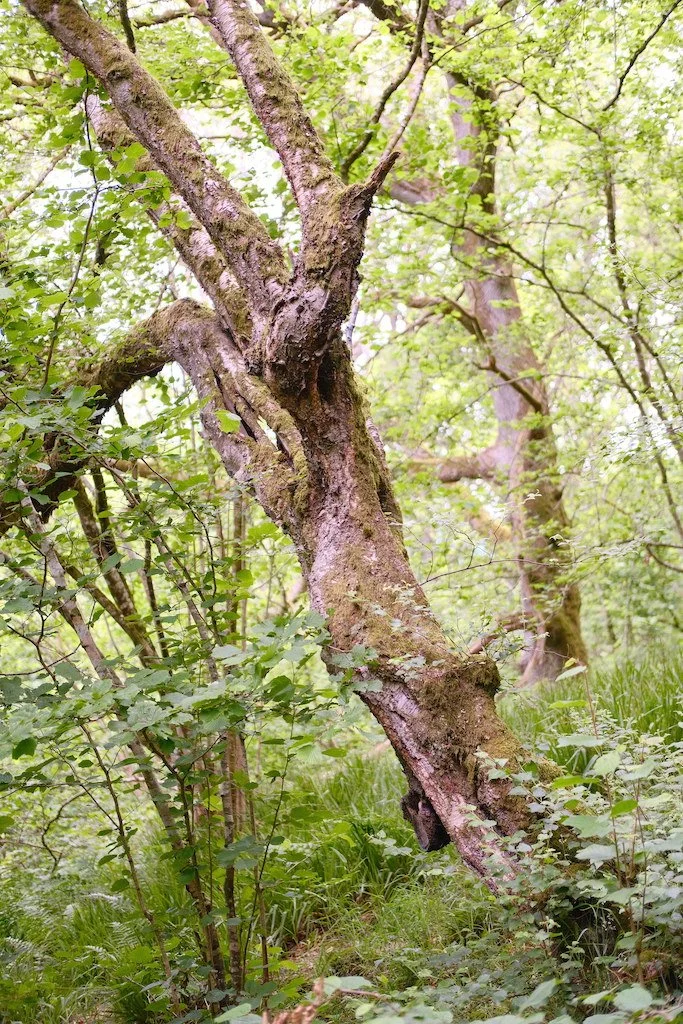 DSCF3943.JPG