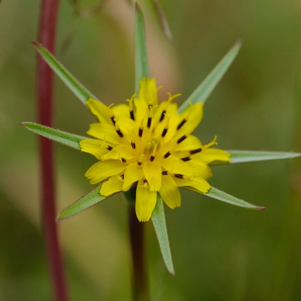 DSCF0167.JPG