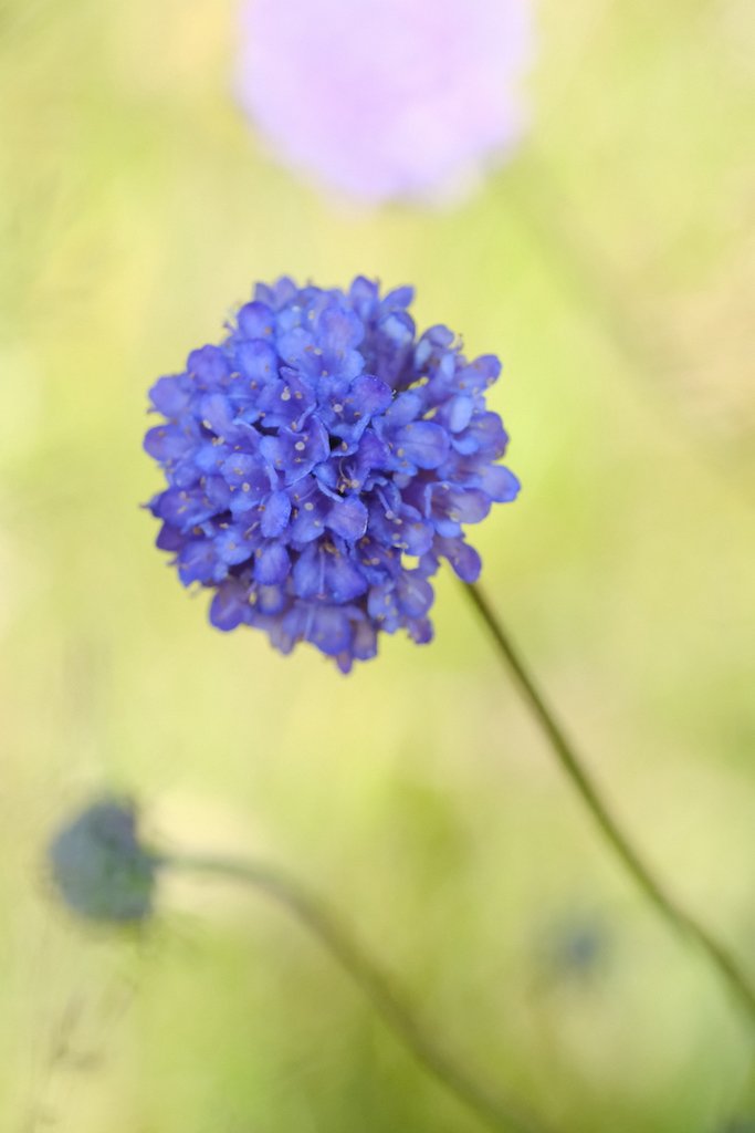 DSCF0349.JPG