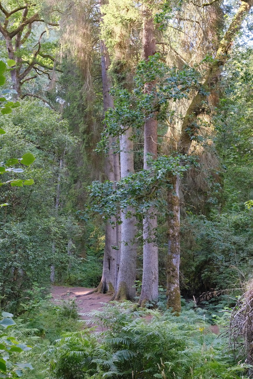 DSCF4089.JPG