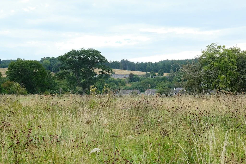 DSCF0379.JPG