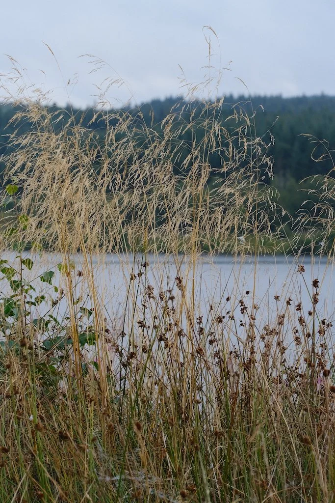 DSCF0510.JPG