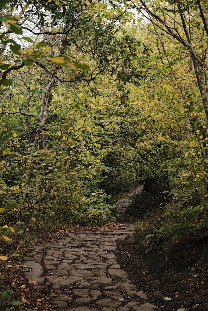 DSCF1380.JPG