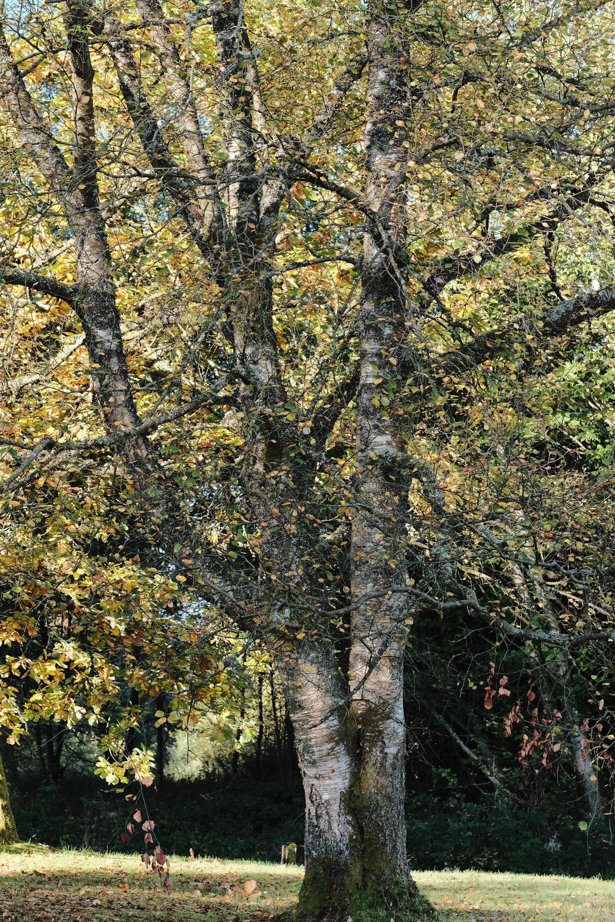 DSCF1357.JPG