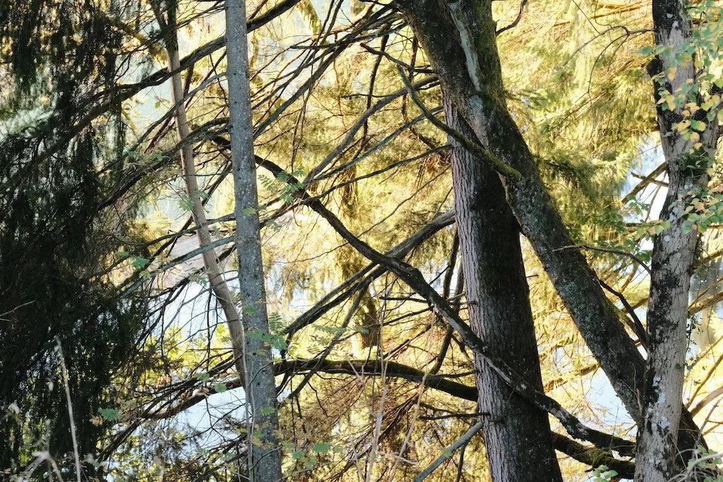 DSCF1324.JPG
