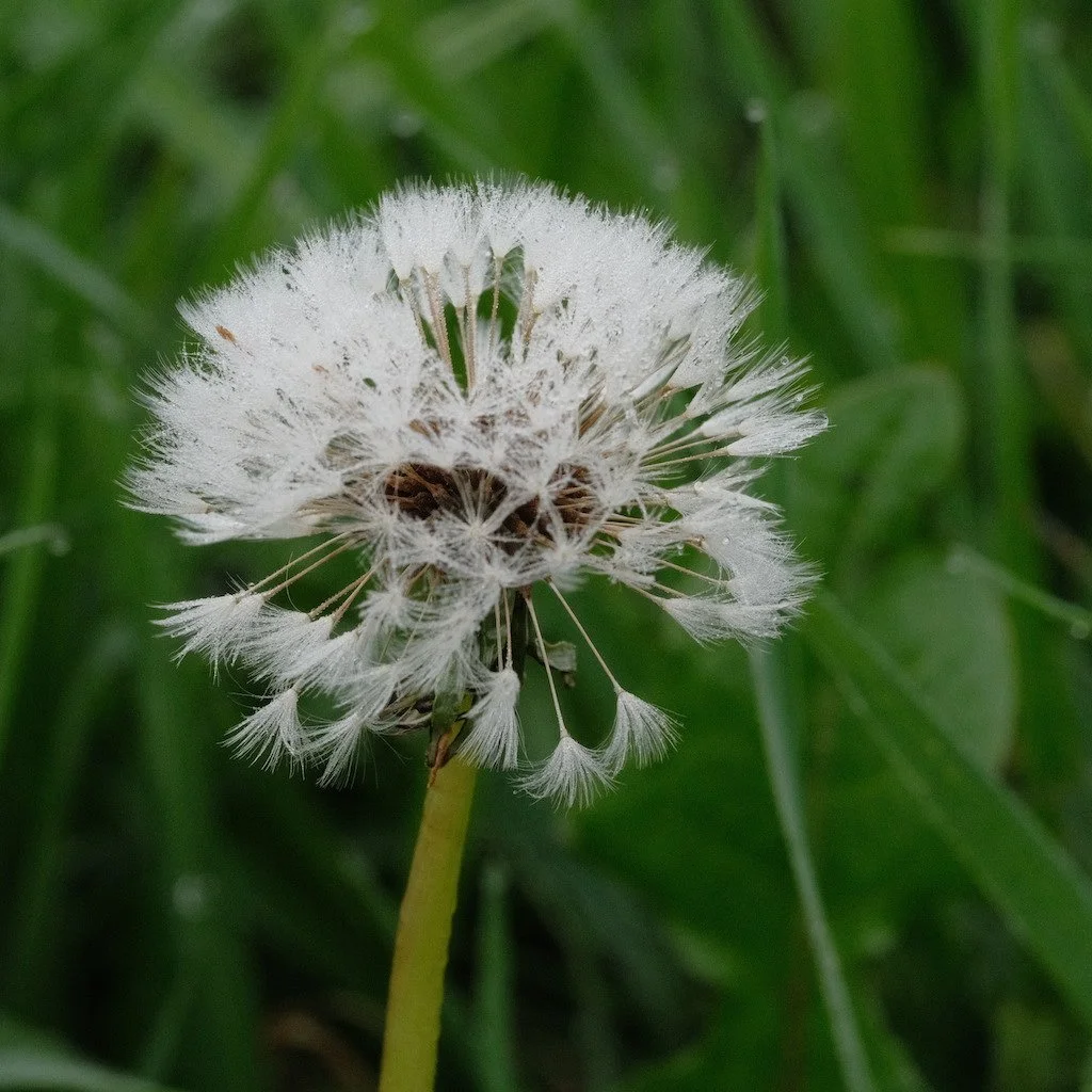 DSCF3269.JPG