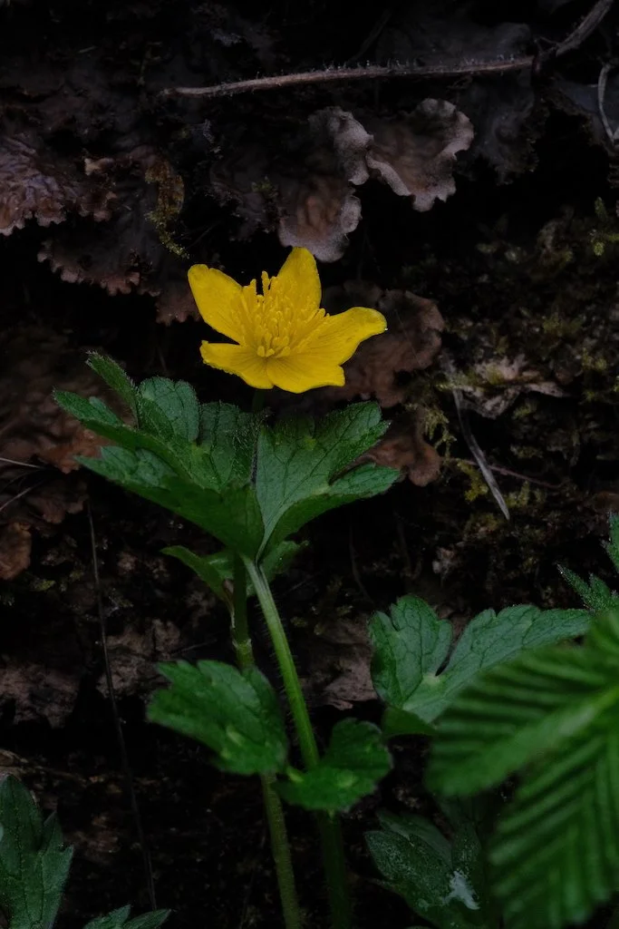 DSCF3319.JPG