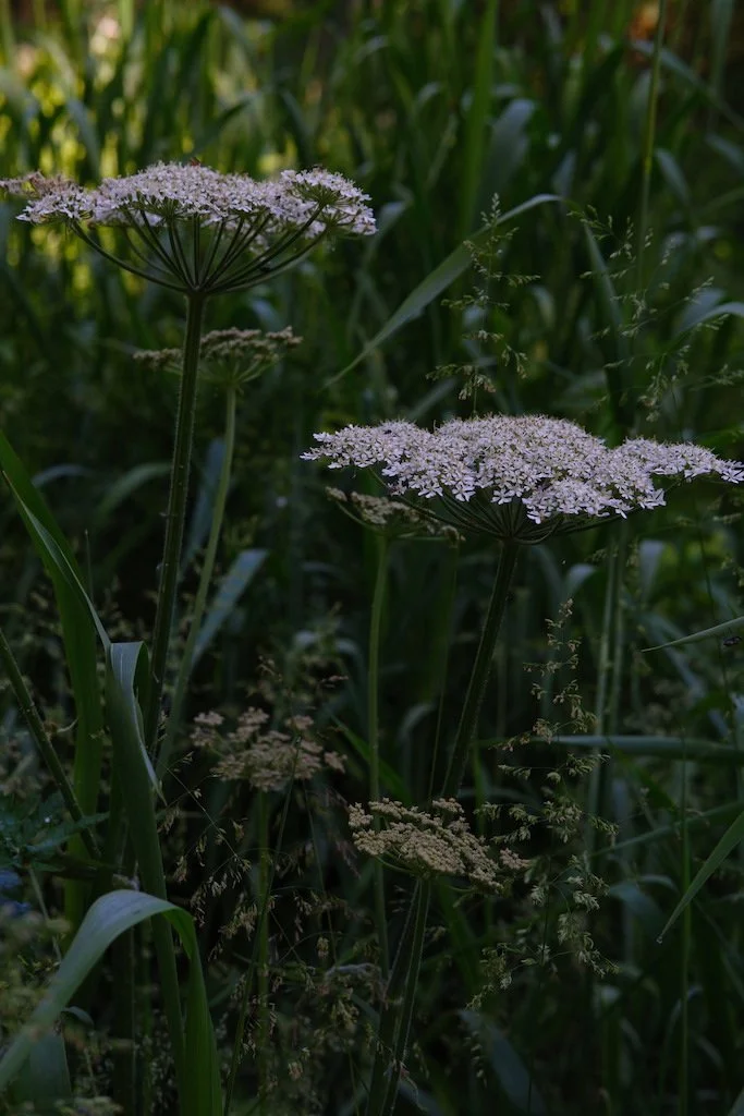 DSCF3892.JPG