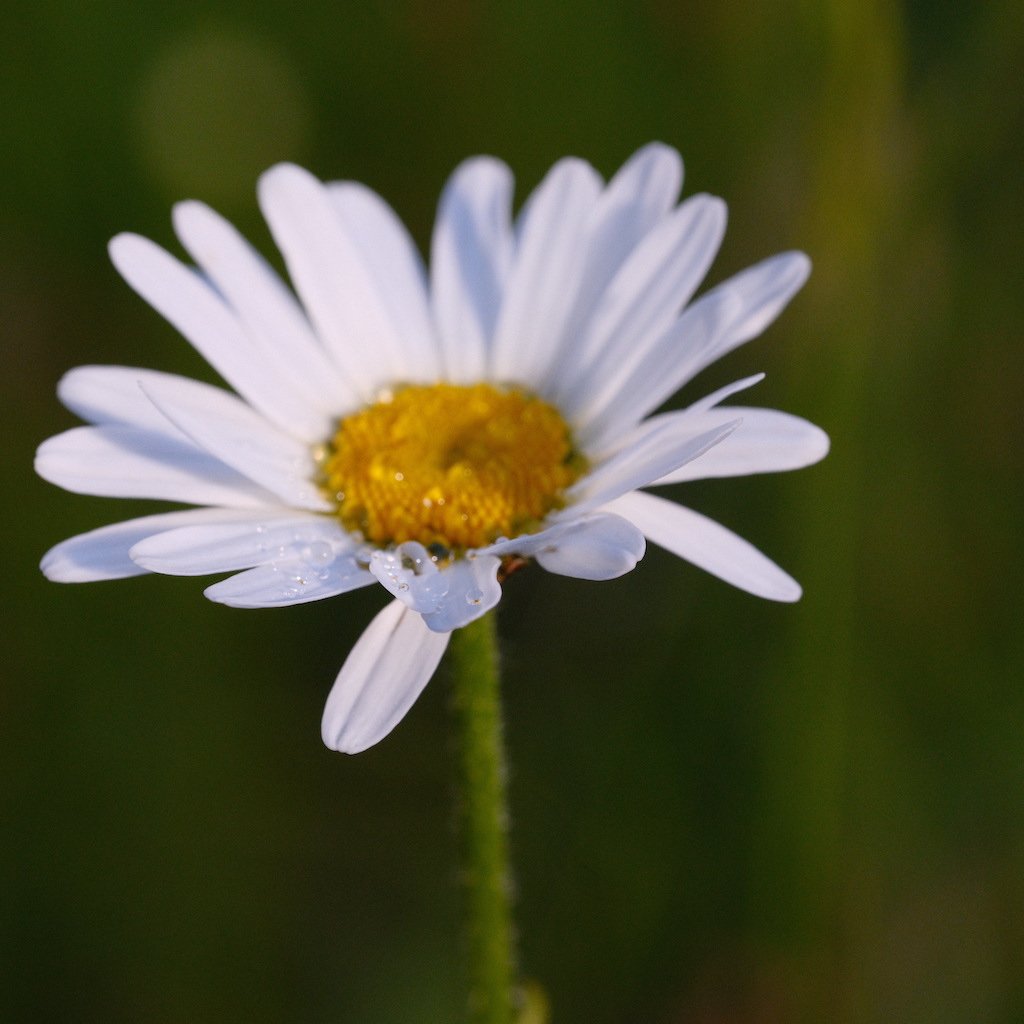 DSCF3696.JPG