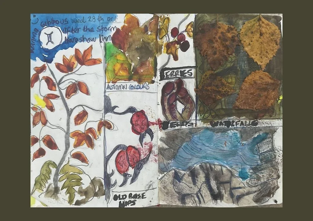 watercolour sketches of berries , waterfalls , saplings with briown leaves , colours of autumn and pasted in leaves