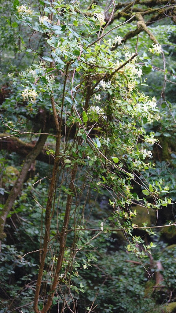 DSCF3949.JPG