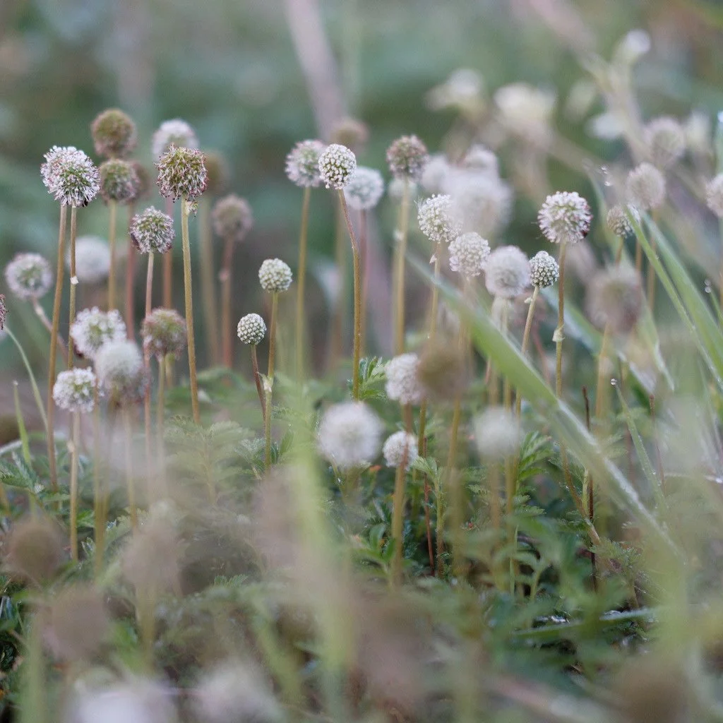 DSCF3640.JPG