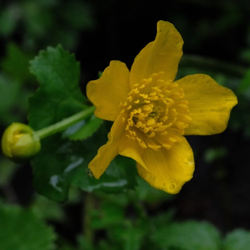 DSCF3318.JPG