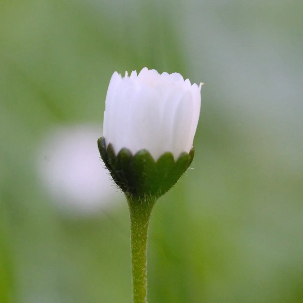 DSCF3624.JPG