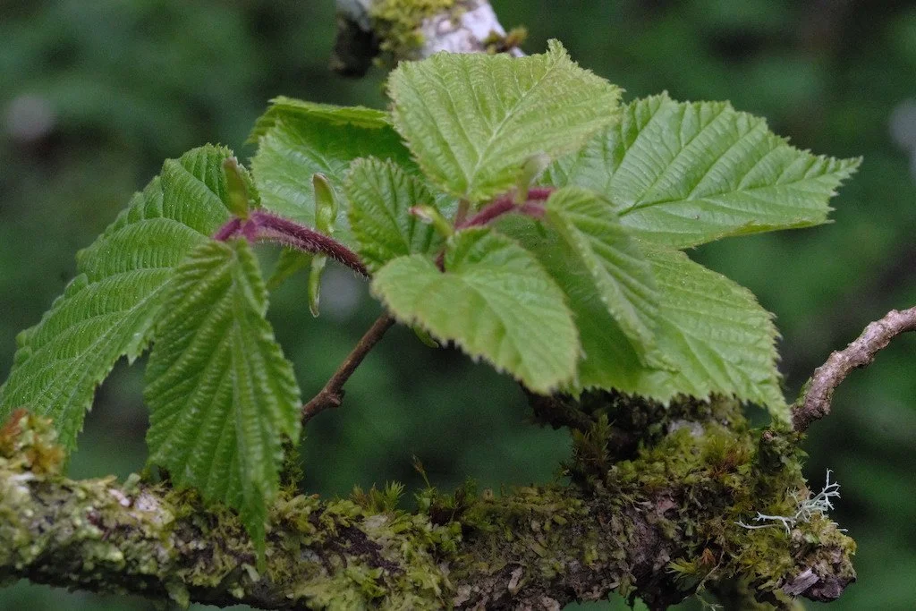 DSCF3294.JPG