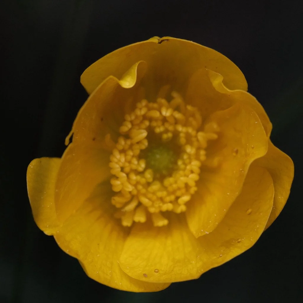 DSCF3475.JPG