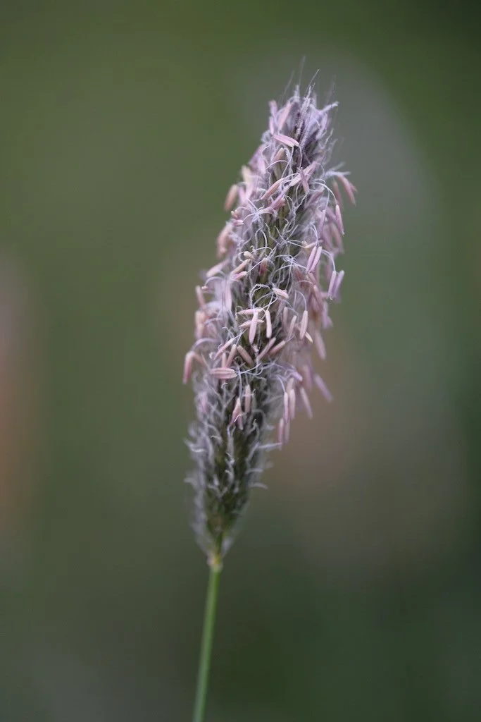 DSCF3440.JPG