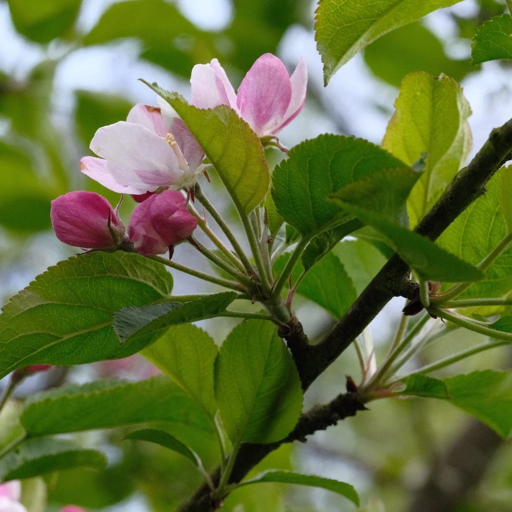 DSCF3258.JPG