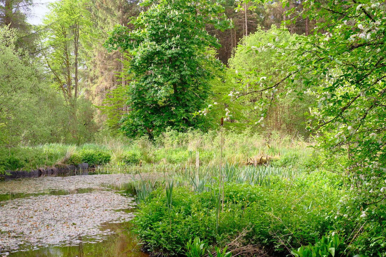DSCF3512.JPG