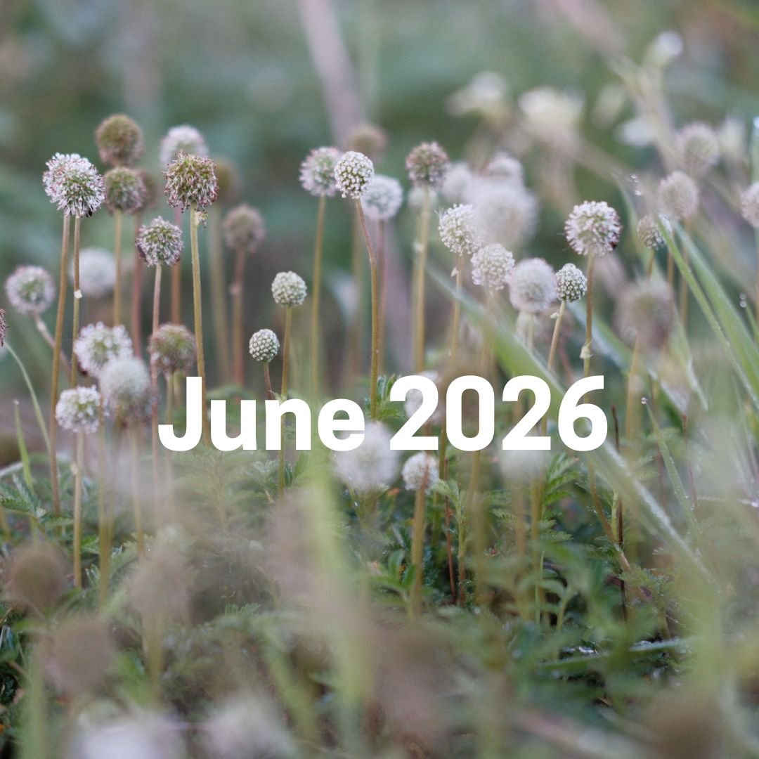 June