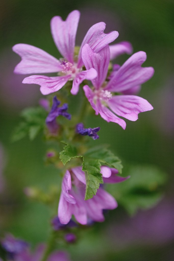 DSCF4048.JPG