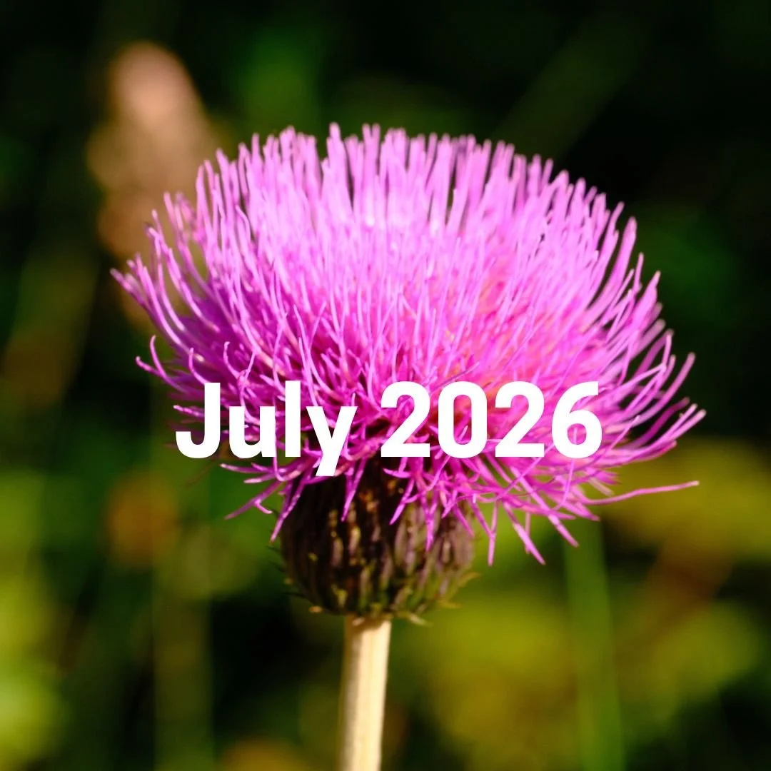 July
