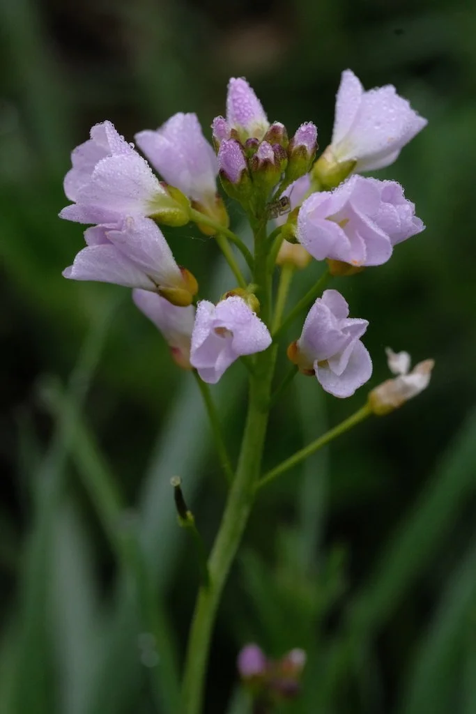 DSCF3272.JPG