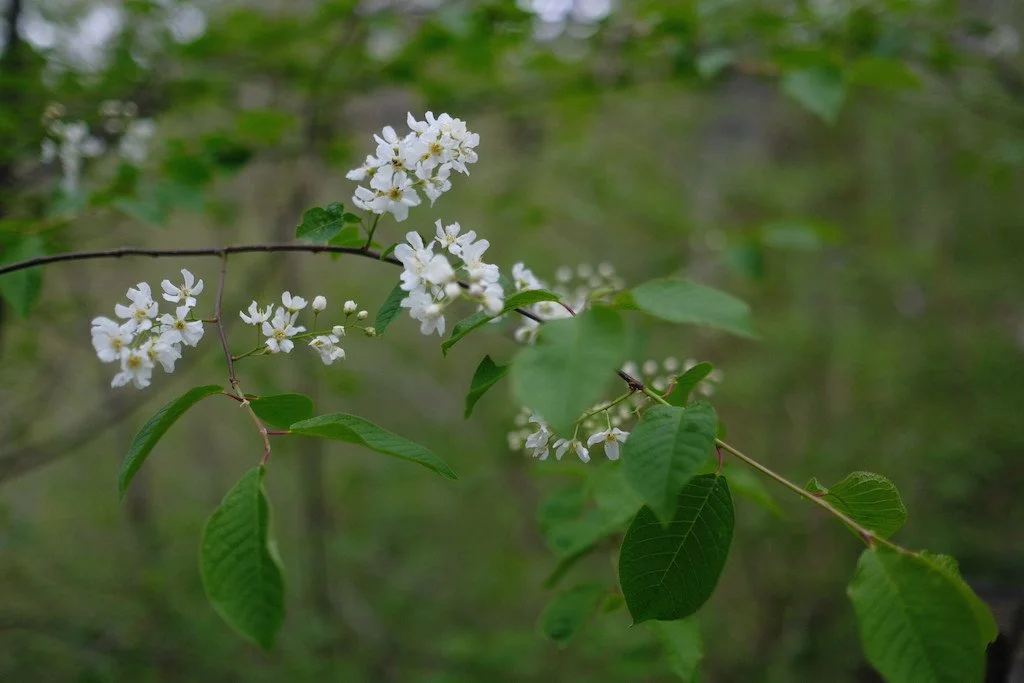 DSCF3342.JPG