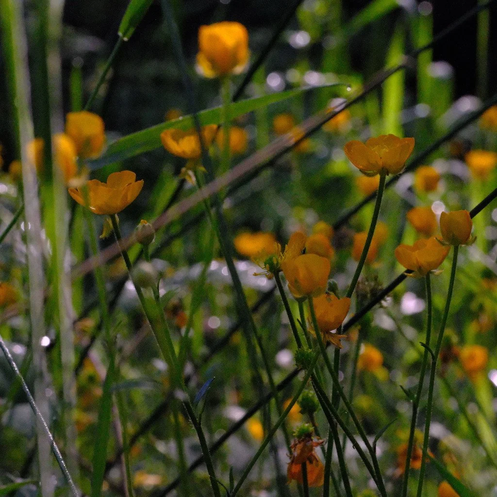 DSCF3852.JPG