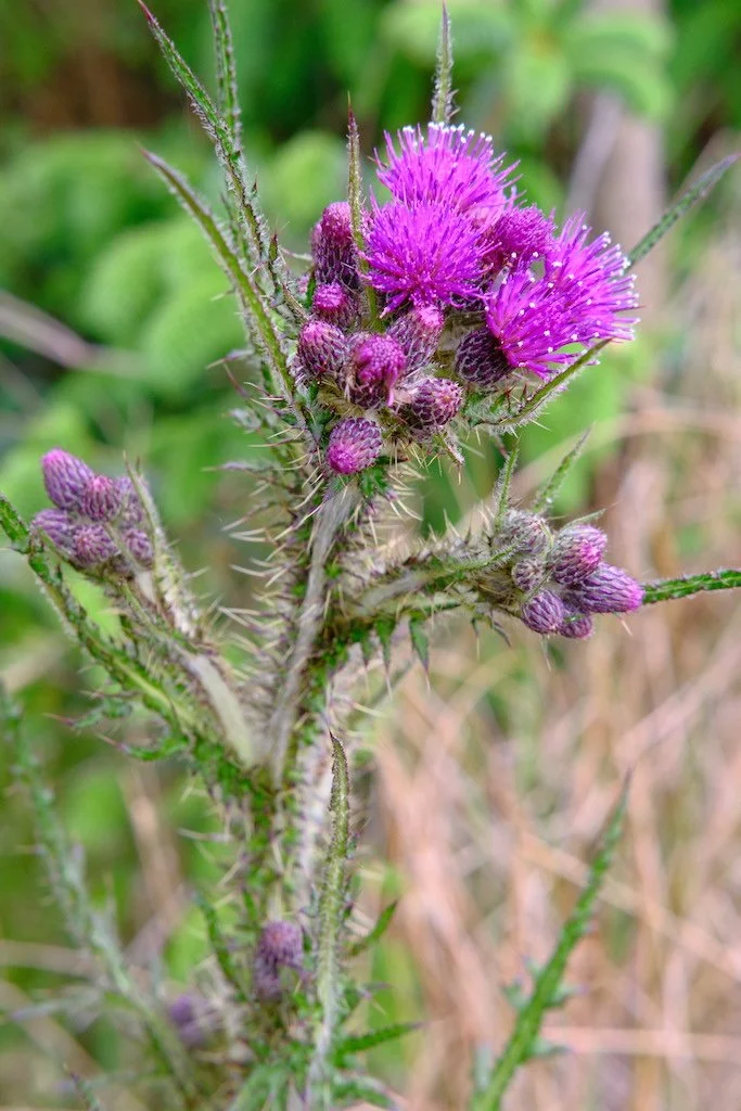 DSCF3522.JPG