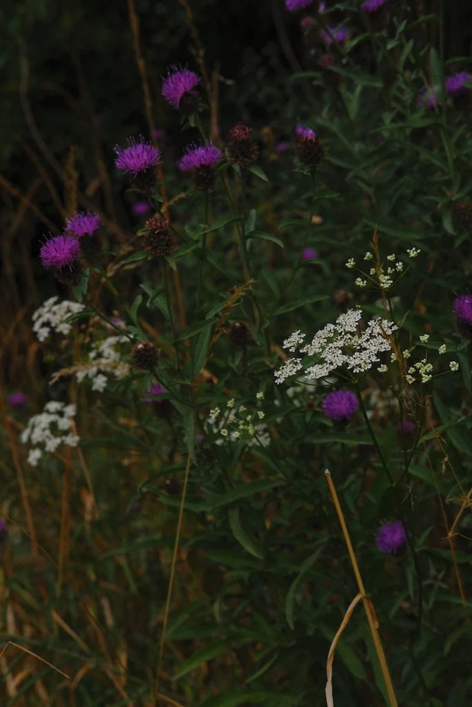 DSCF4129.JPG