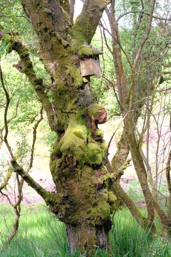 DSCF3495.JPG