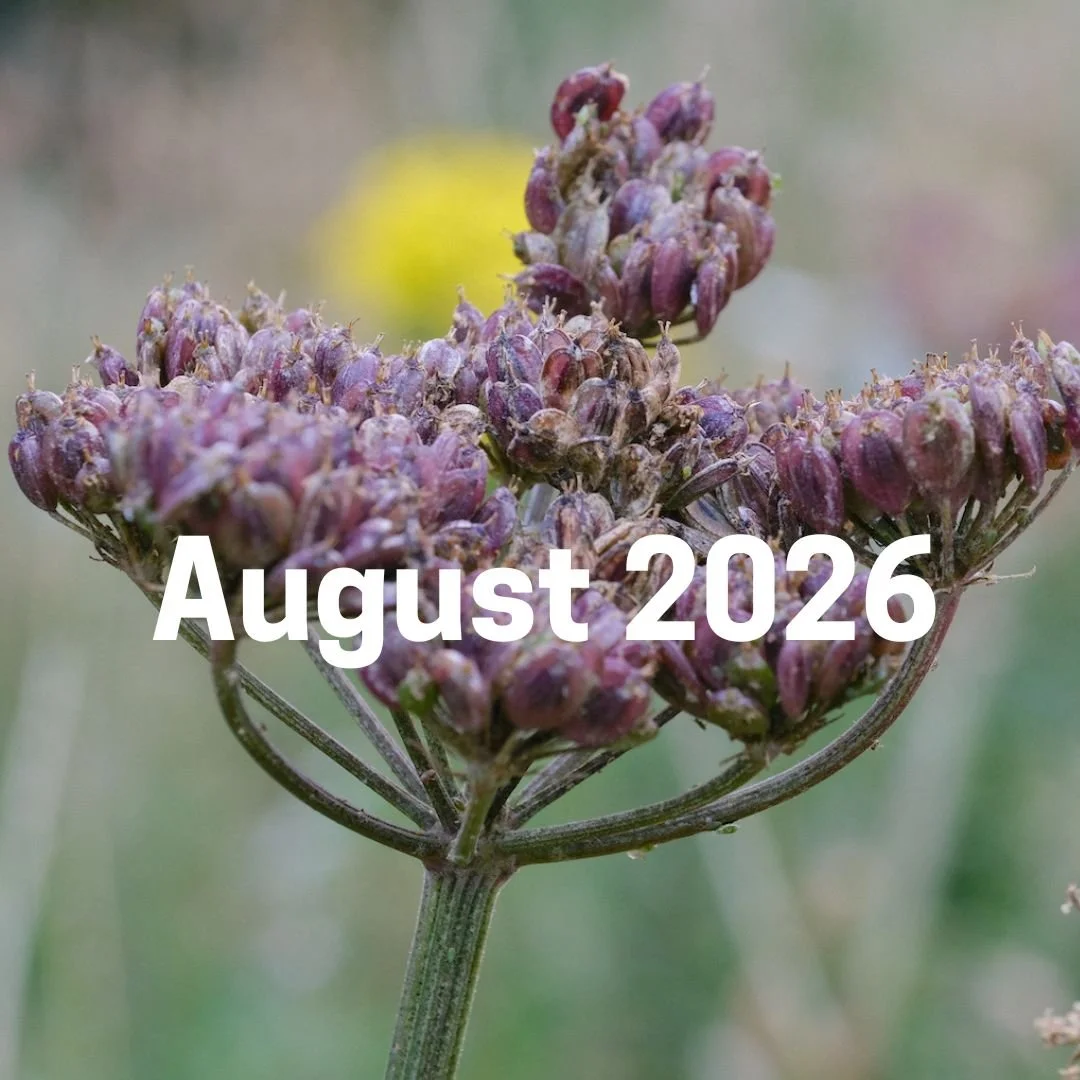 August