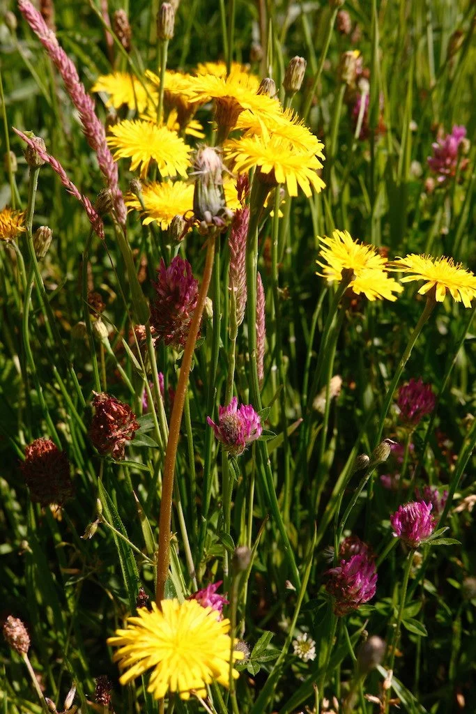 DSCF3898.JPG