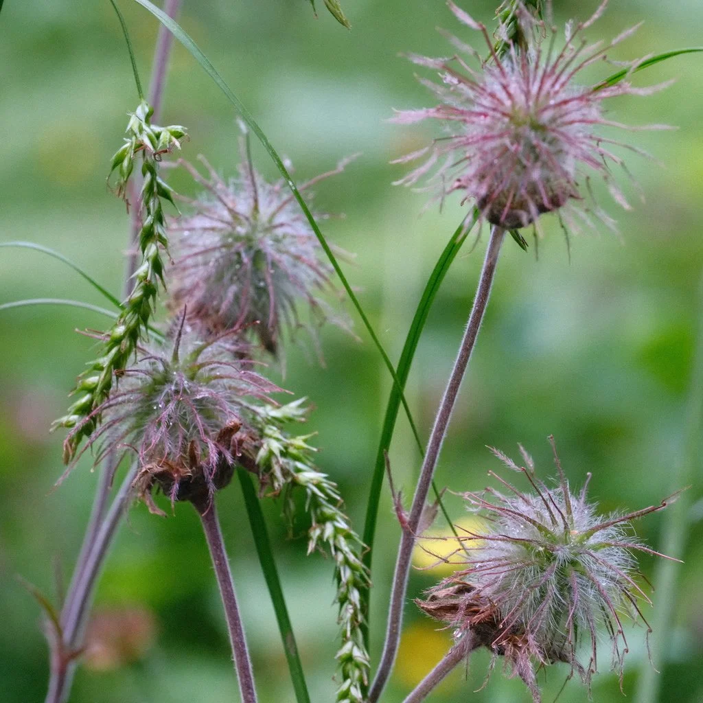 DSCF3971.JPG