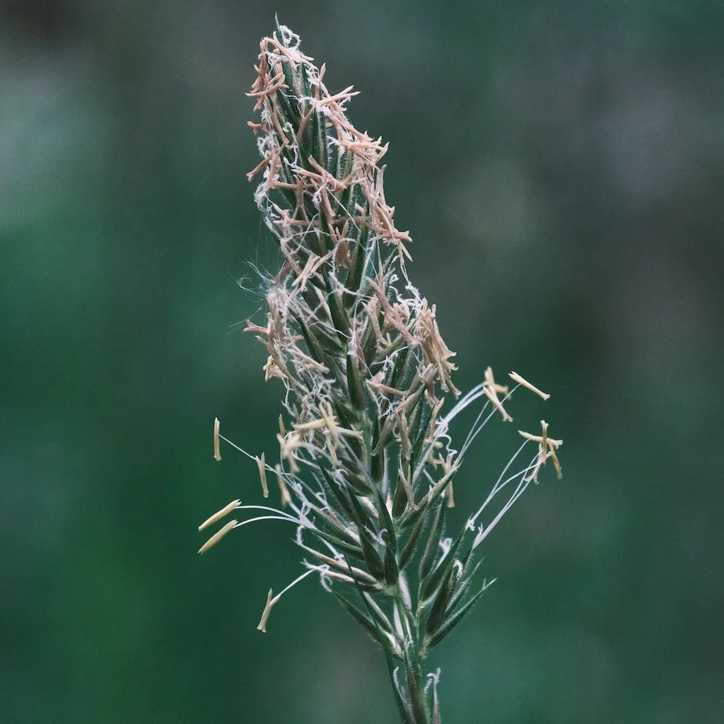 DSCF3417.JPG