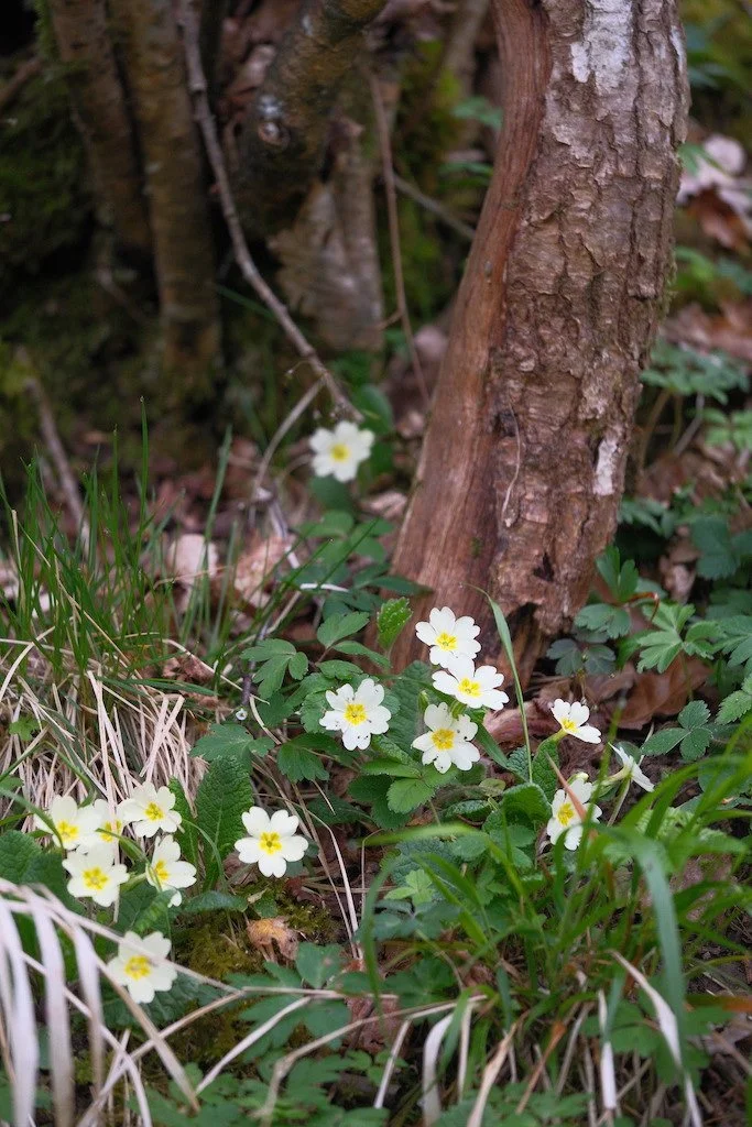 DSCF3304.JPG