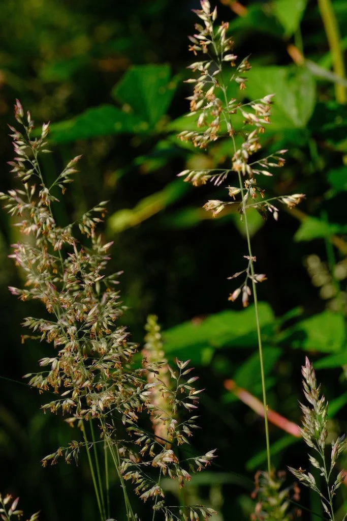 DSCF3859.JPG