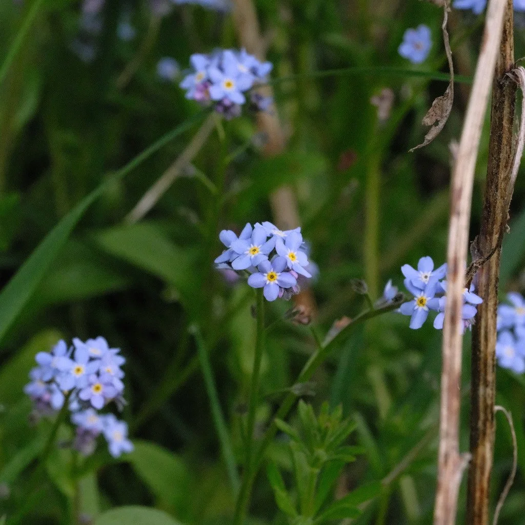 DSCF3265.JPG