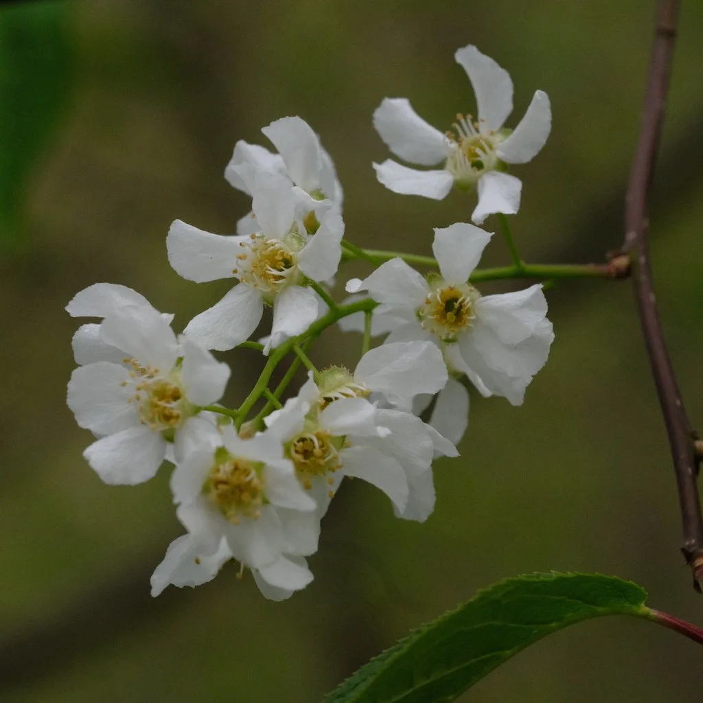 DSCF3279.JPG
