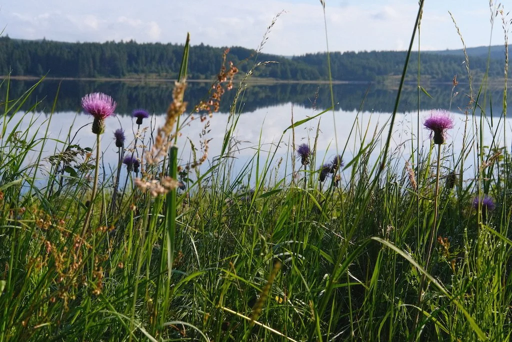 DSCF4061.JPG
